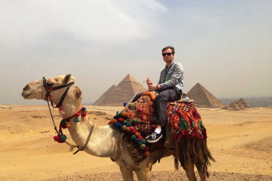 900x600-1-50-adf795309a7624cbff8d97640286c01b